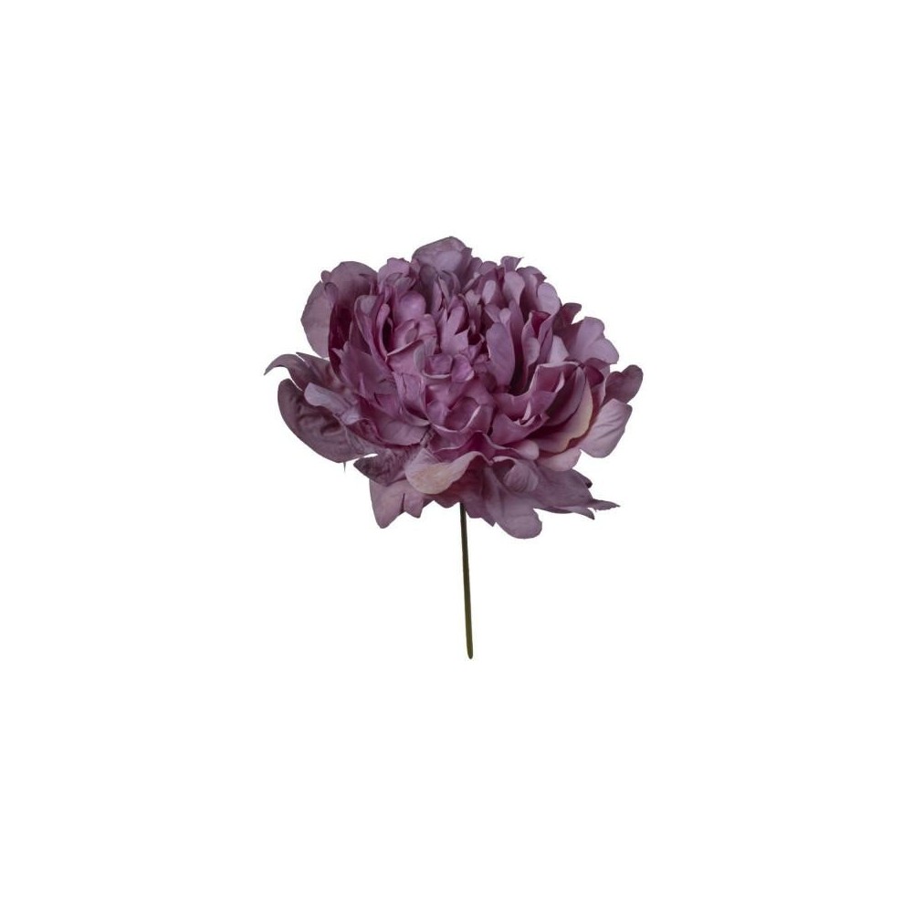 PICK PEONIA PURPLE 13X13X16